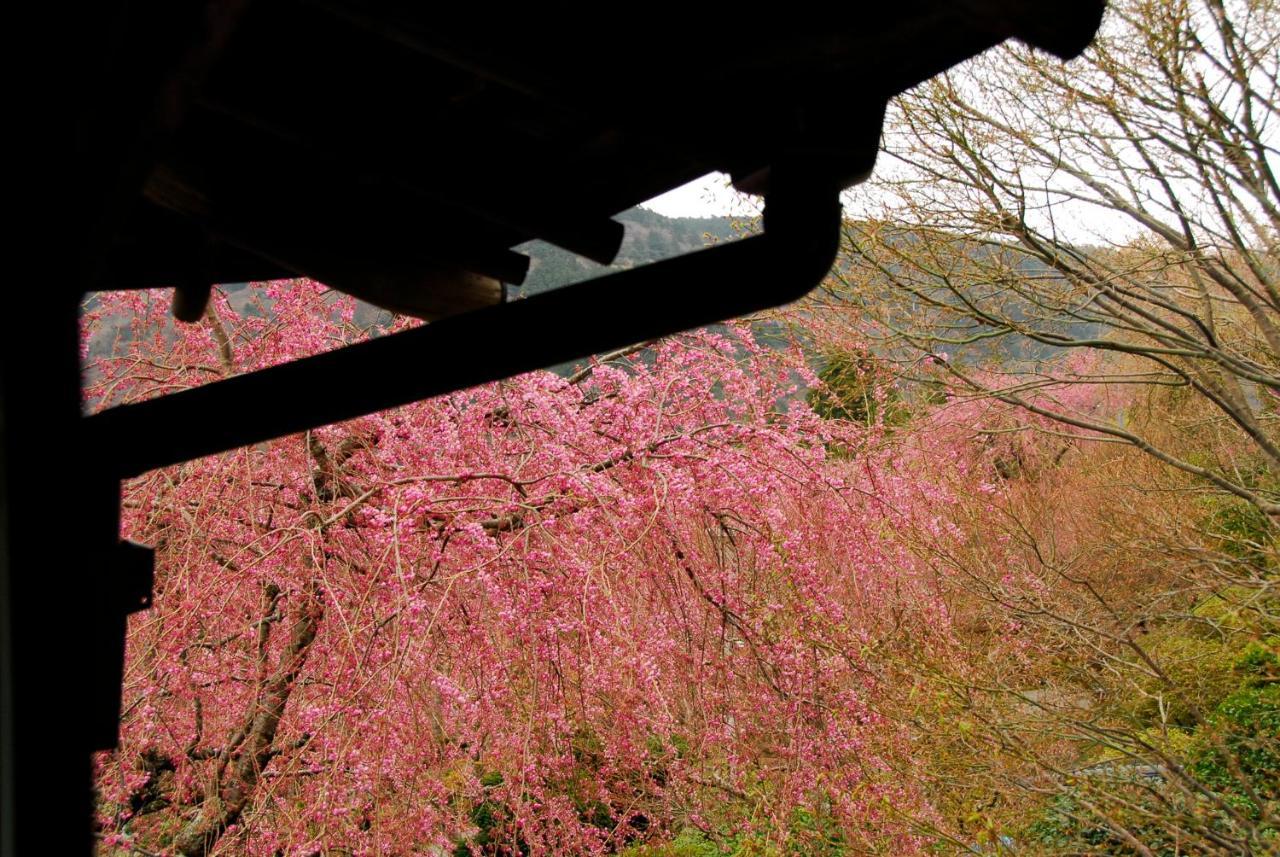 Hakone Kowakien Mikawaya Ryokan Εξωτερικό φωτογραφία